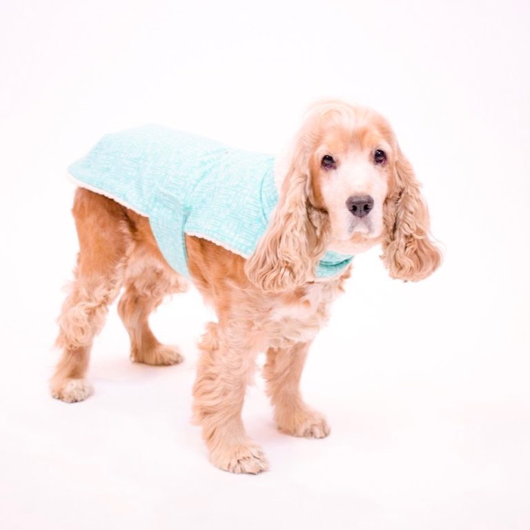 Dog Coat