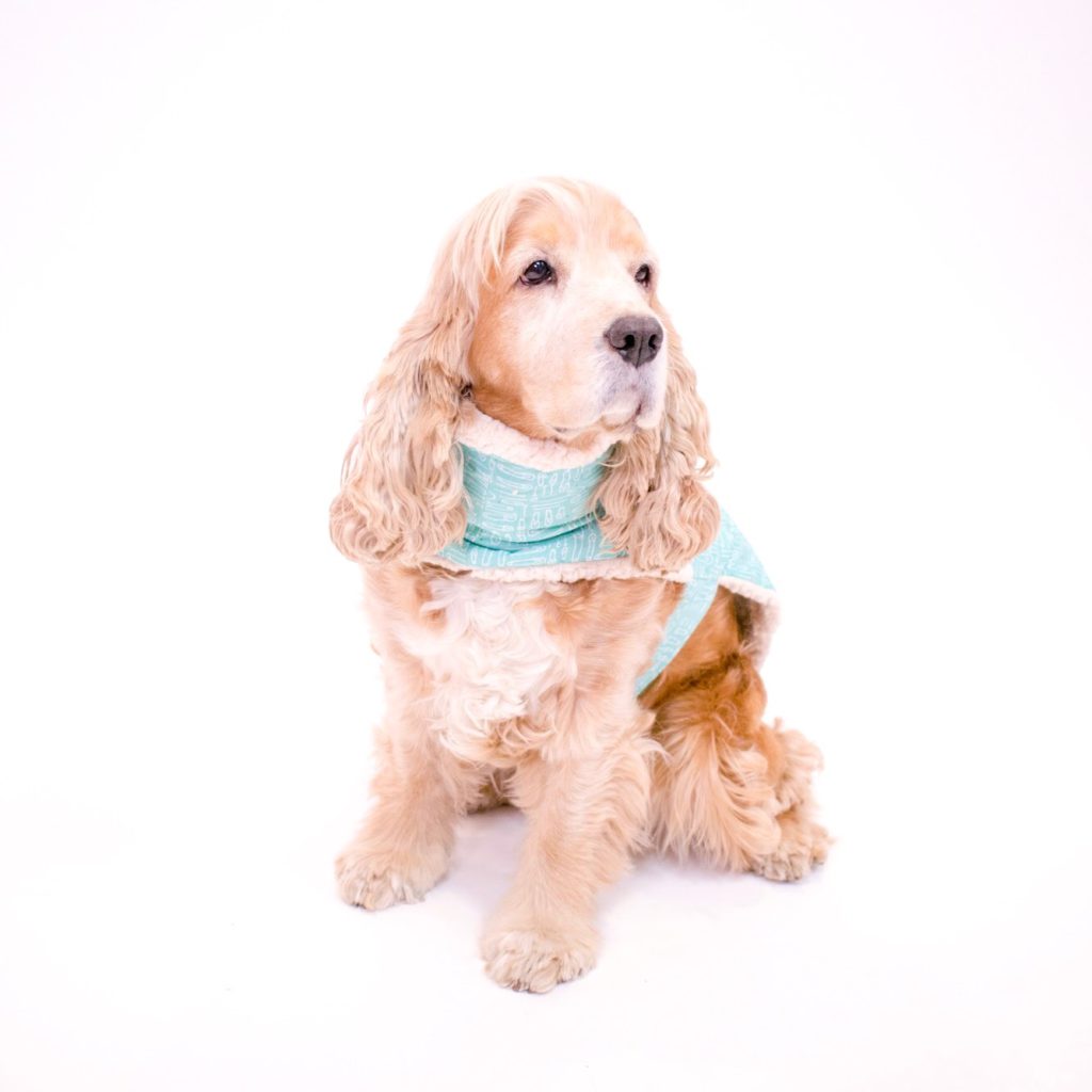 Dog Coat