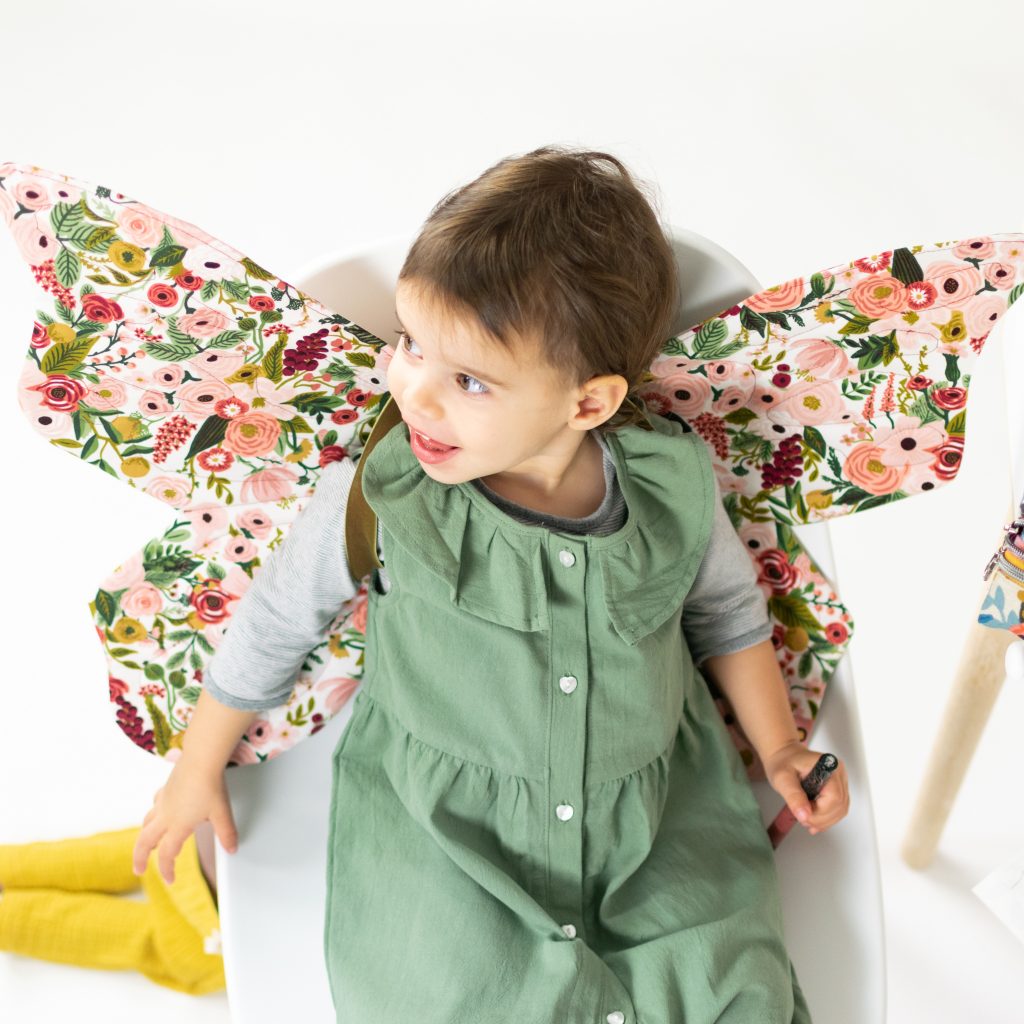 Dinosaur/Dragon and Butterfly Wings