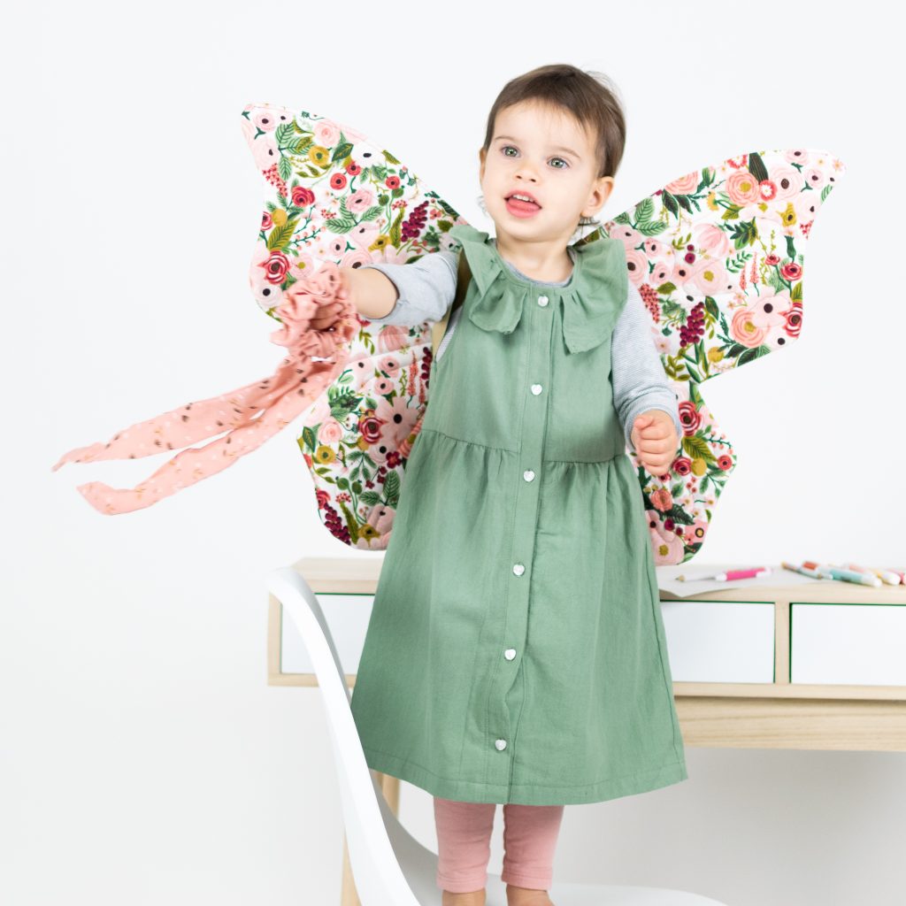 Dinosaur/Dragon and Butterfly Wings