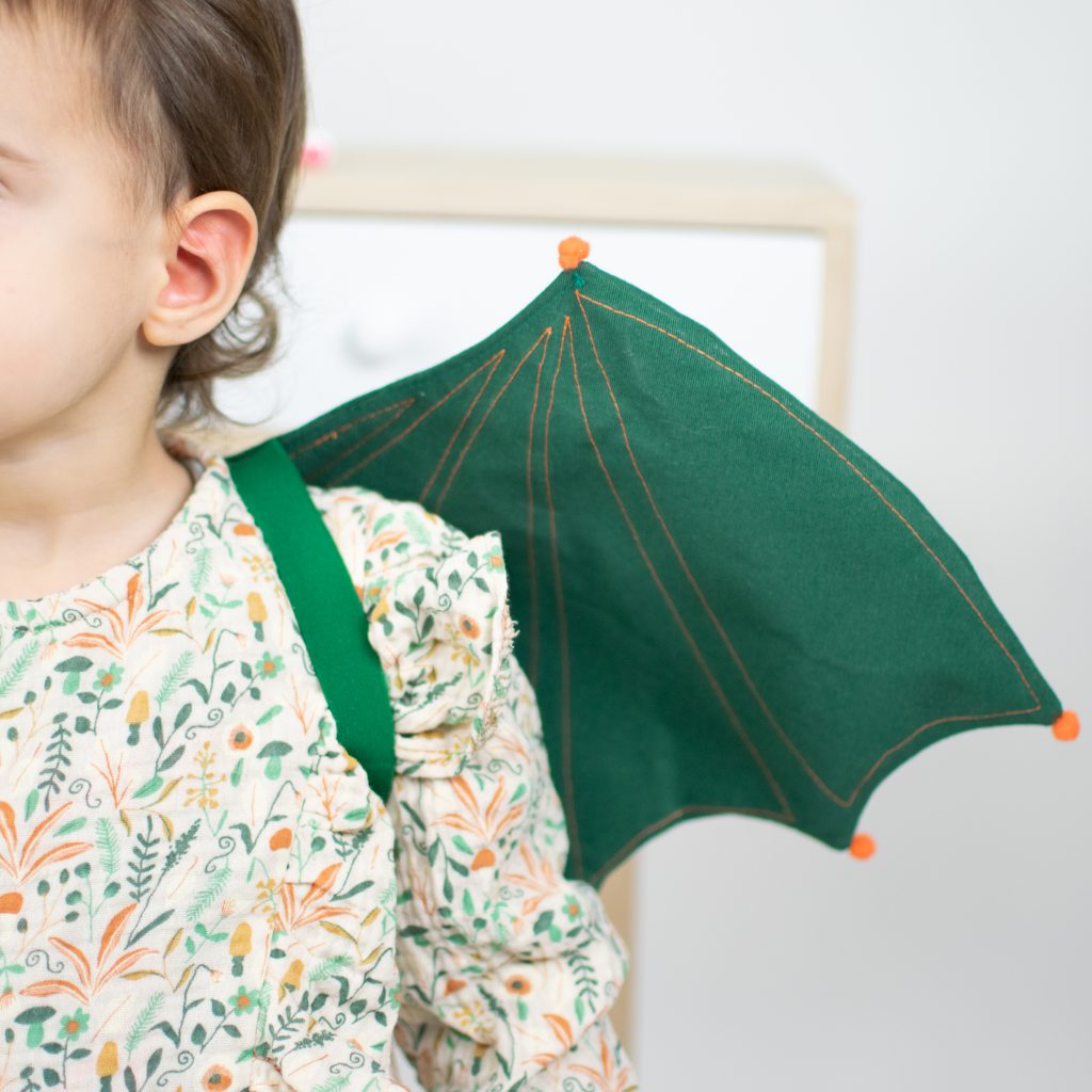 Dinosaur/Dragon and Butterfly Wings
