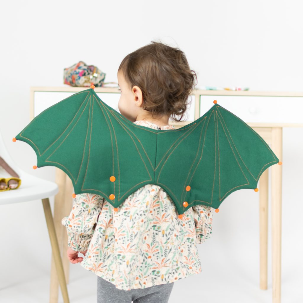 Dinosaur/Dragon and Butterfly Wings