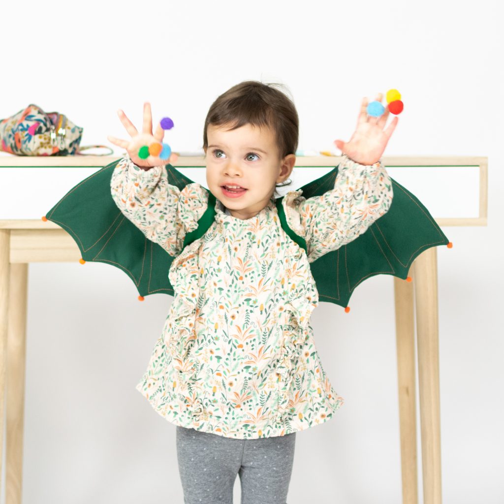 Dinosaur/Dragon and Butterfly Wings
