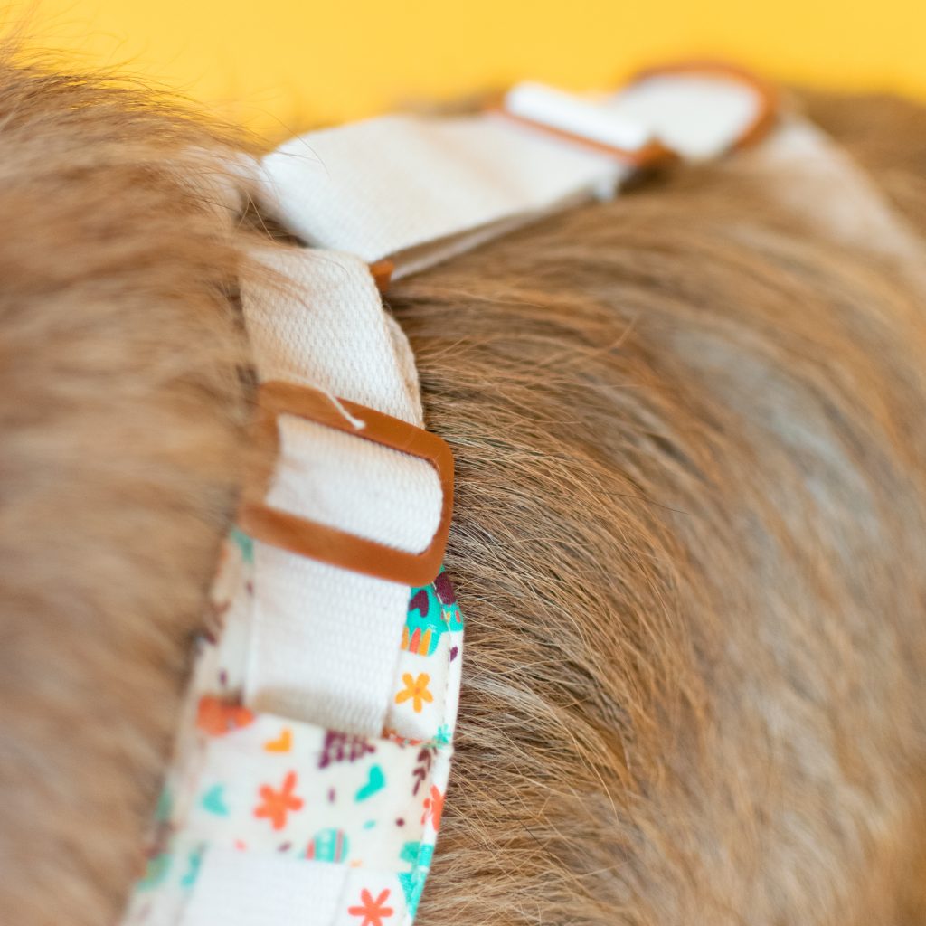 Dog Harness