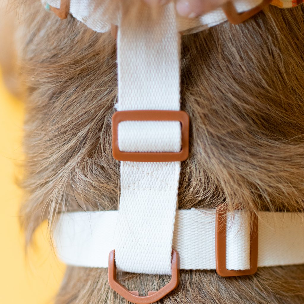 Dog Harness