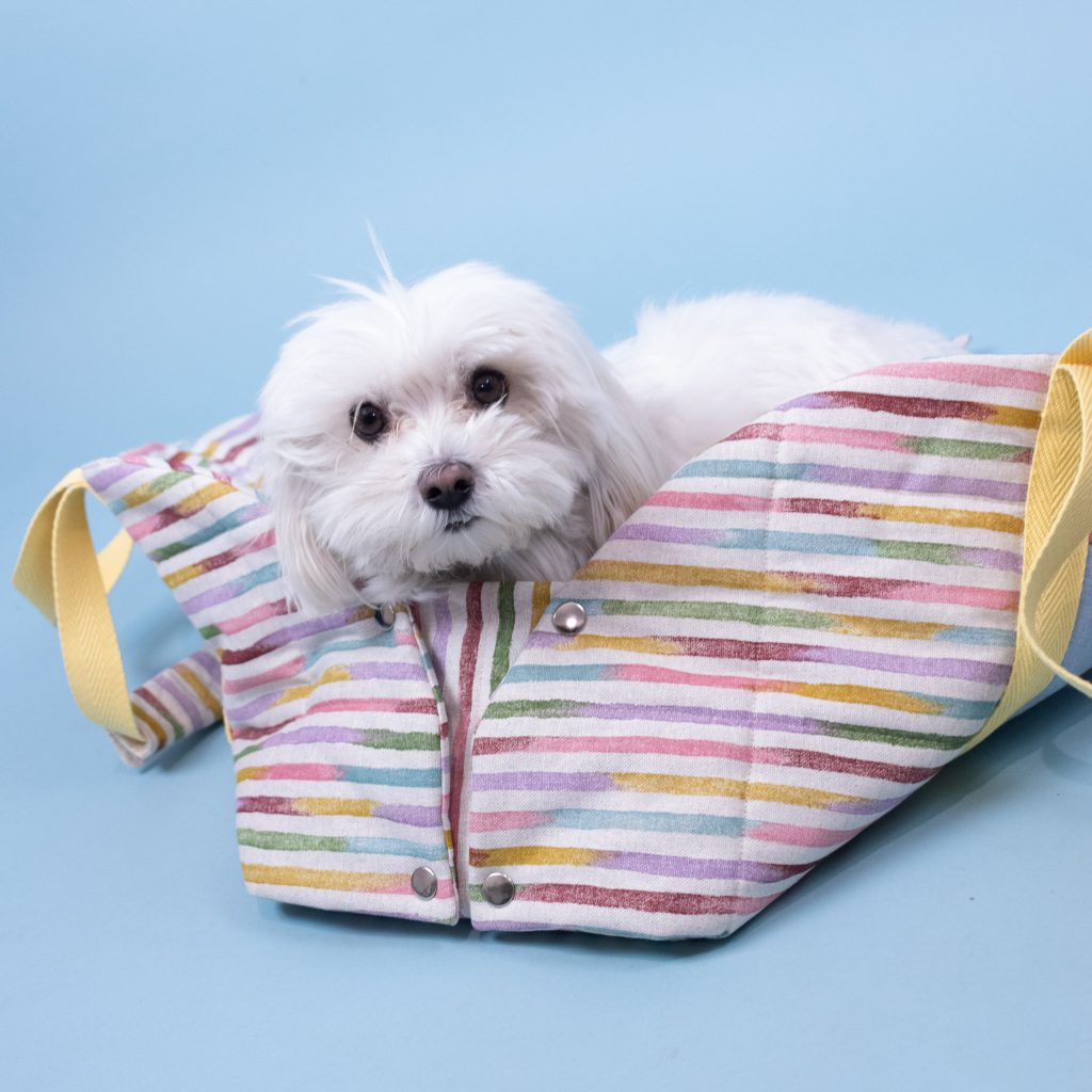 Pet Carrier Bag (Dog, Cat…)