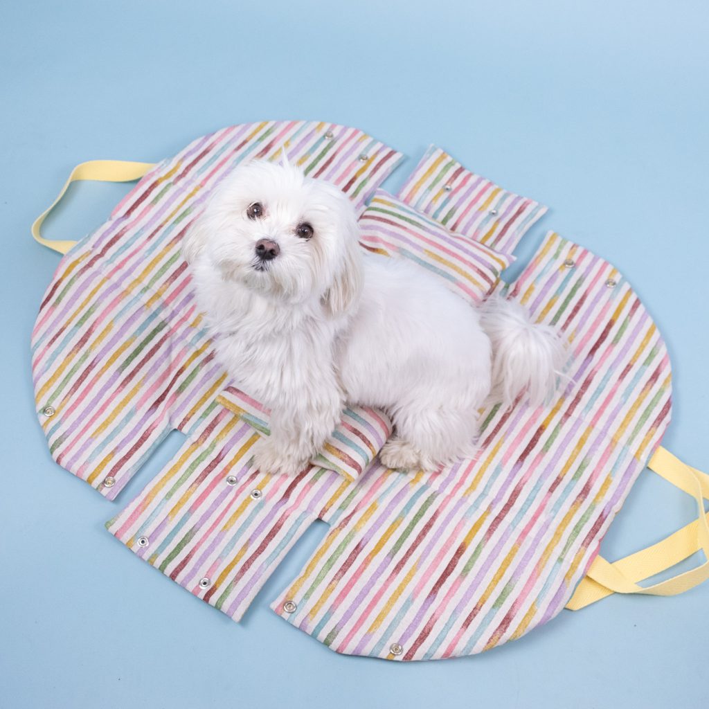 Pet Carrier Bag (Dog, Cat…)