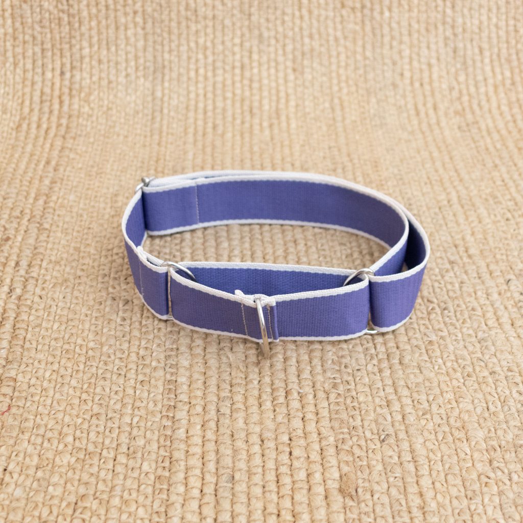Martingale Dog Collar