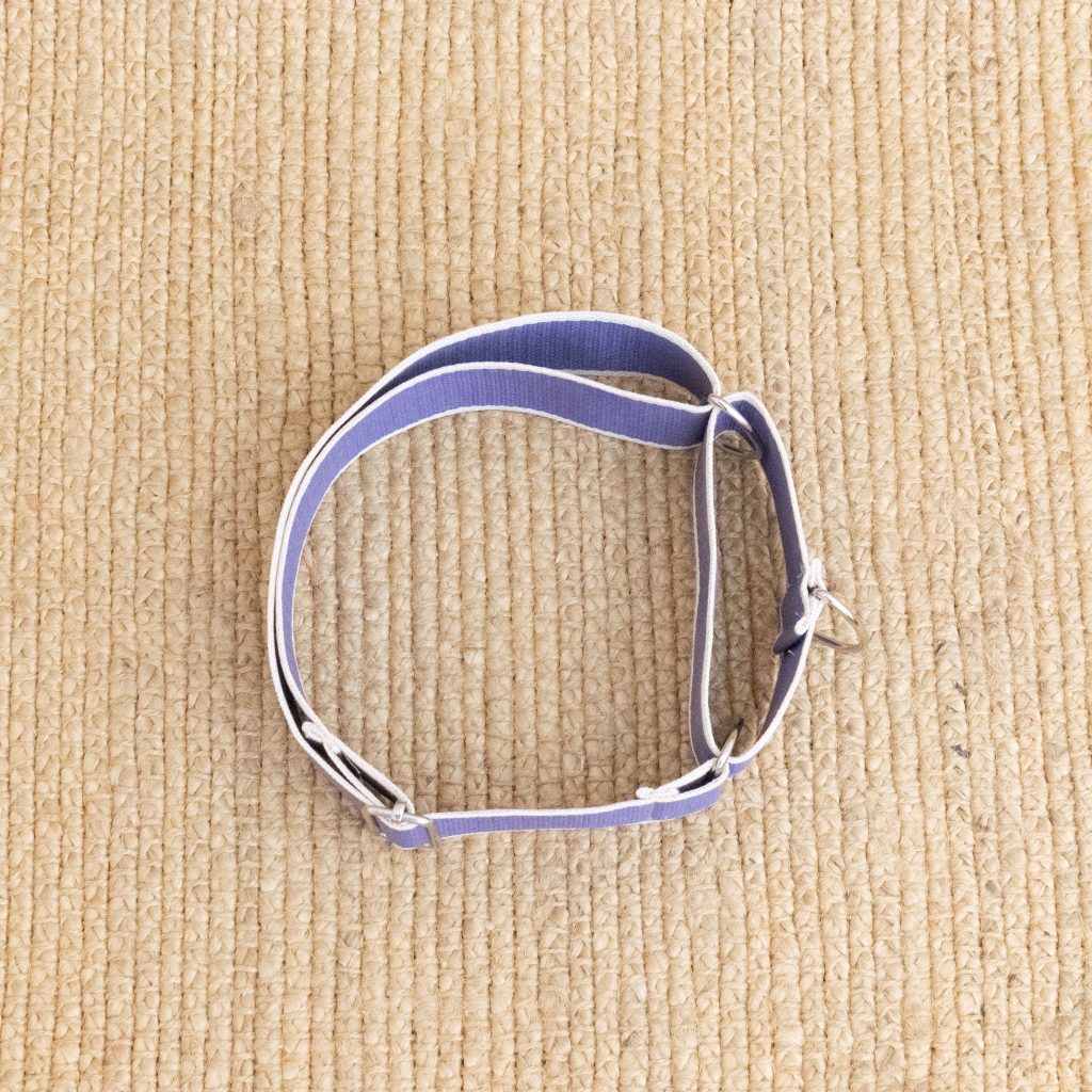 Martingale Dog Collar