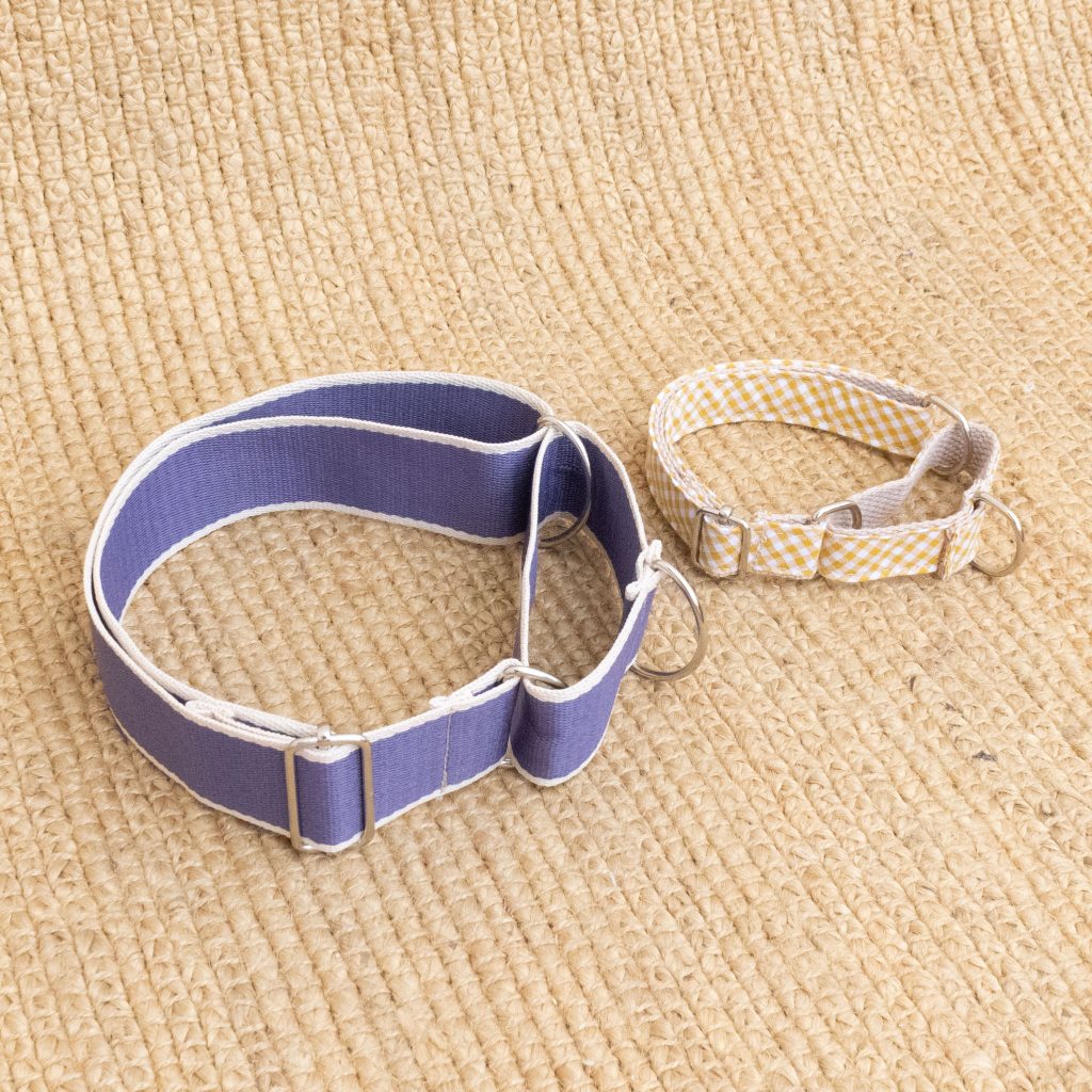 Martingale Dog Collar