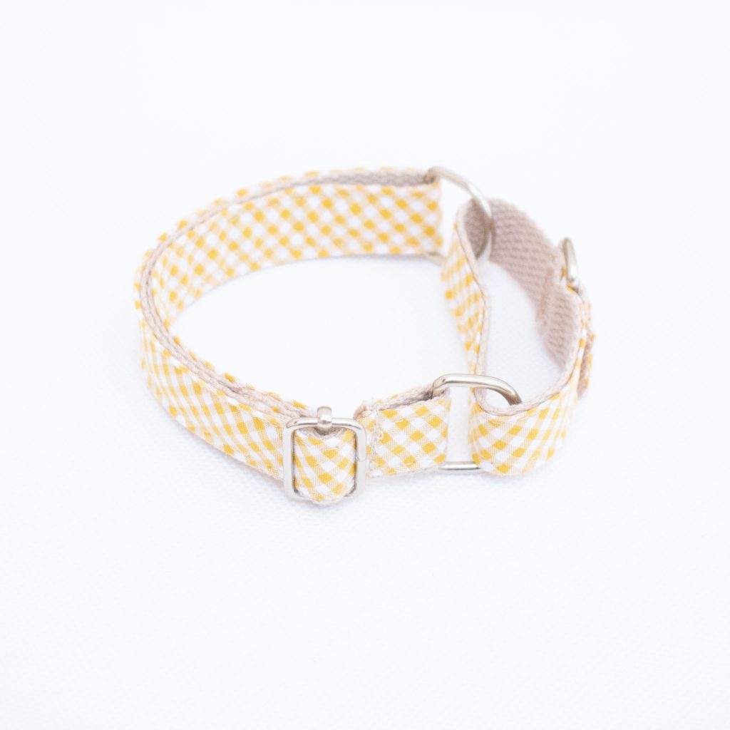 Martingale Dog Collar