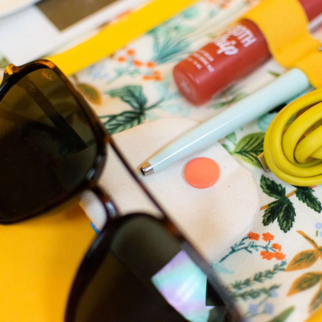Car Sun Visor Organizer