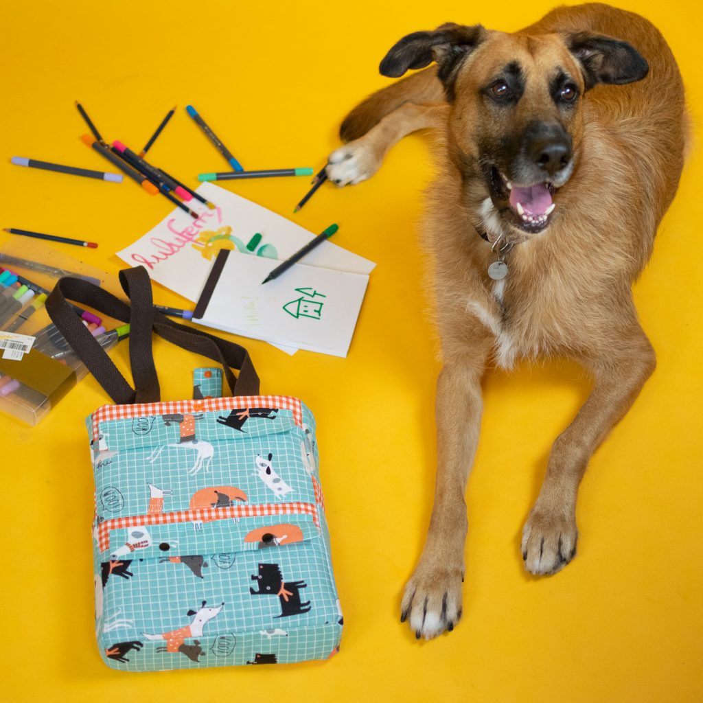 Delhi Tote Bag