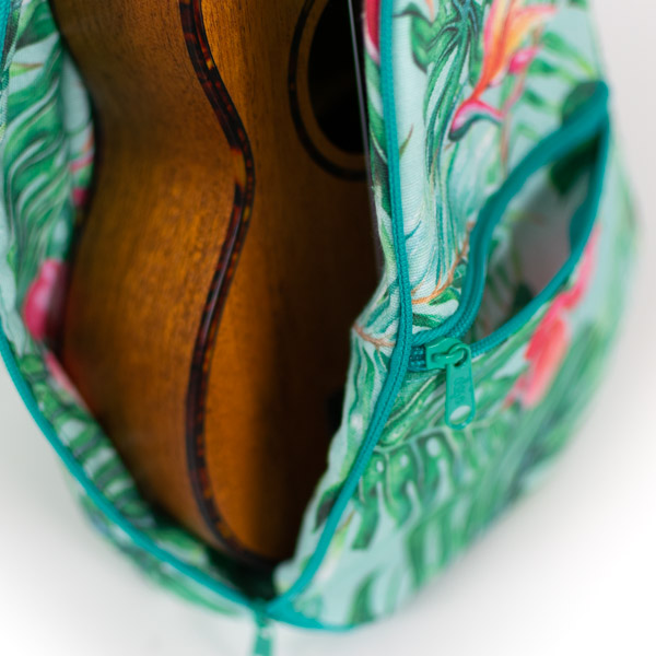Ukulele and Guitar Case