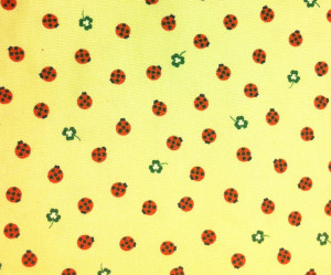 ladybugs